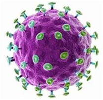 ¿Qué es la infección por papilomavirus