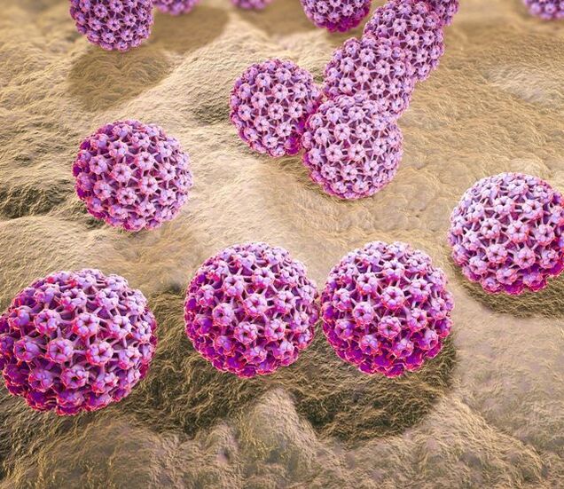 Modelo de virus del papiloma humano
